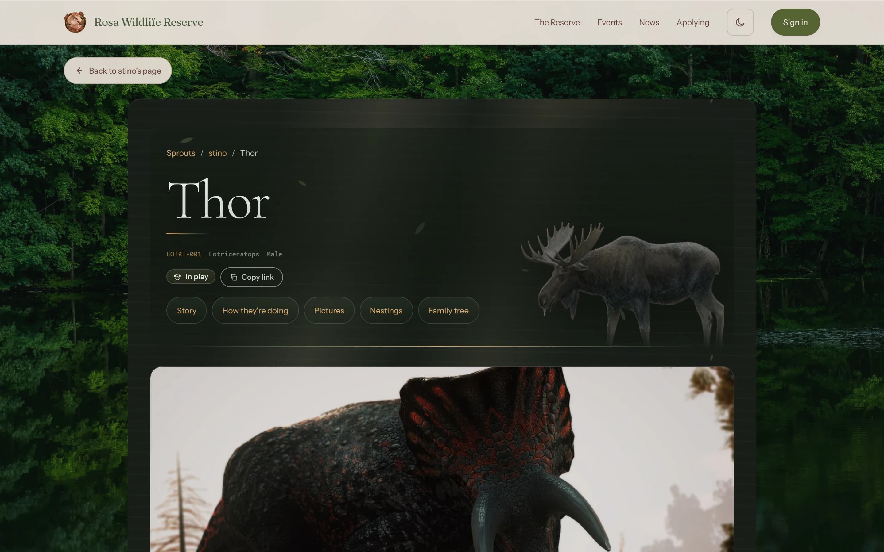 A character page with its story, pictures and family tree